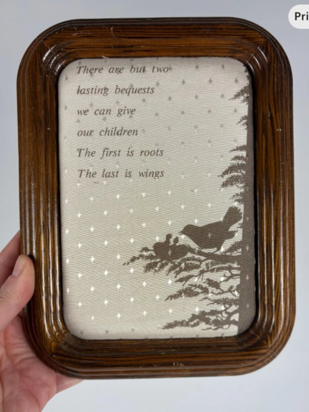 Vintage Framed Textile Wall Art – Roots and Wings Family Quote